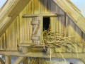 IMG_5313.JPG