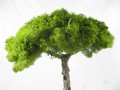 IMG_7613.JPG
