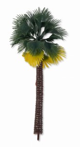 (12070) Gruba palma pojedyncza, duże liście, bez podstawy, 18cm wysoka