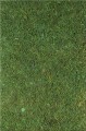 86341.jpg