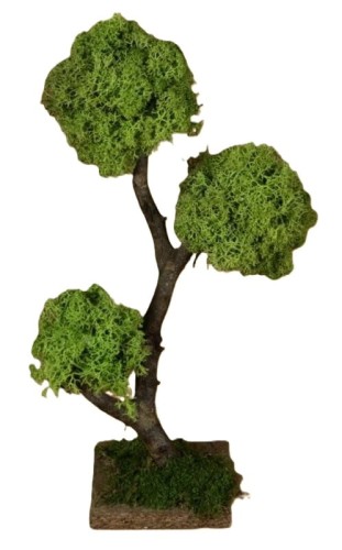 86569.jpg