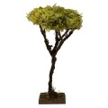albero-lichene-h-13-cm-miniature-alberi-per-presepe-86565.jpg