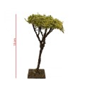 albero-lichene-h-13-cm-miniature-alberi-per-presepe-86565 (1).jpg
