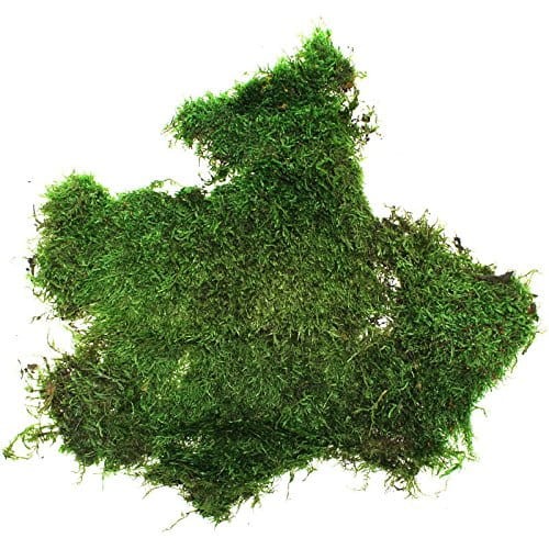 1kg-Moos-Plattenmoos-Moosplatten-echtes-Moos-gefrbt-apfelgrn-0.jpg