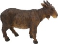 t606.jpg