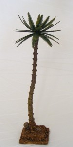 (25/017) Wysoka palma pojedyncza, 25cm wysoka