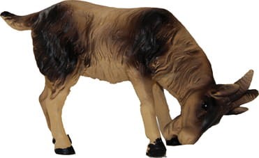 t061.jpg