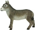 t806.jpg