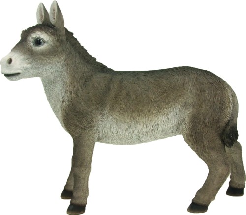t806.jpg
