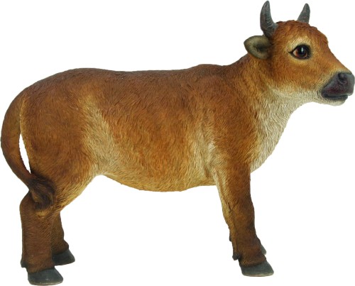 t803.jpg